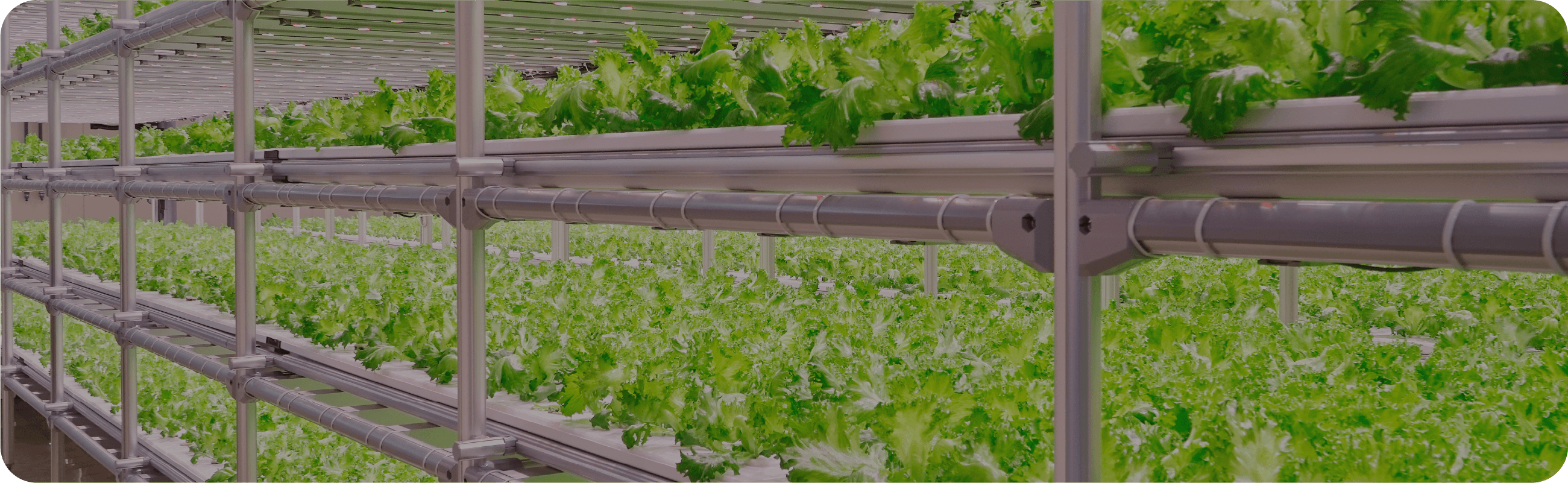 AGRI アグリ事業